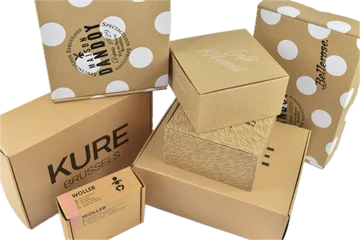 Consegna espressa Scatole in Zwijnaarde BE